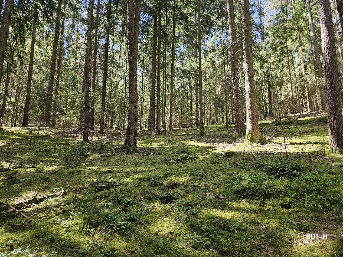 Reduziert Stress und Anspannung