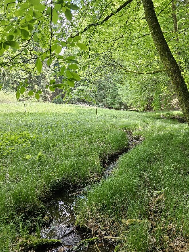 Mediation am Bach