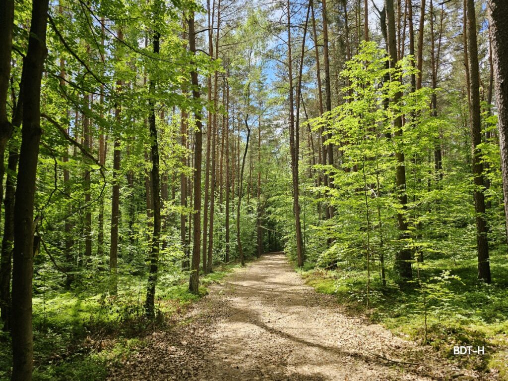 Verbessert die Stimmung und lindert depressive Verstimmungen