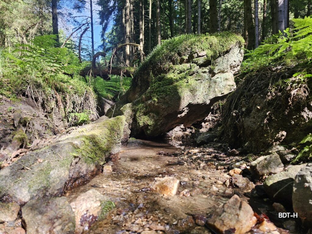 Steigert die Lebensqualität und das allgemeine Wohlbefinden